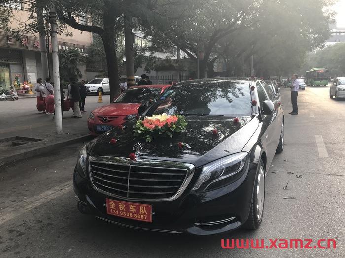 金秋婚車實拍