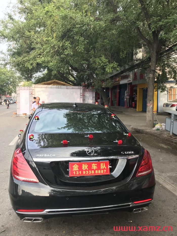 金秋婚車實拍