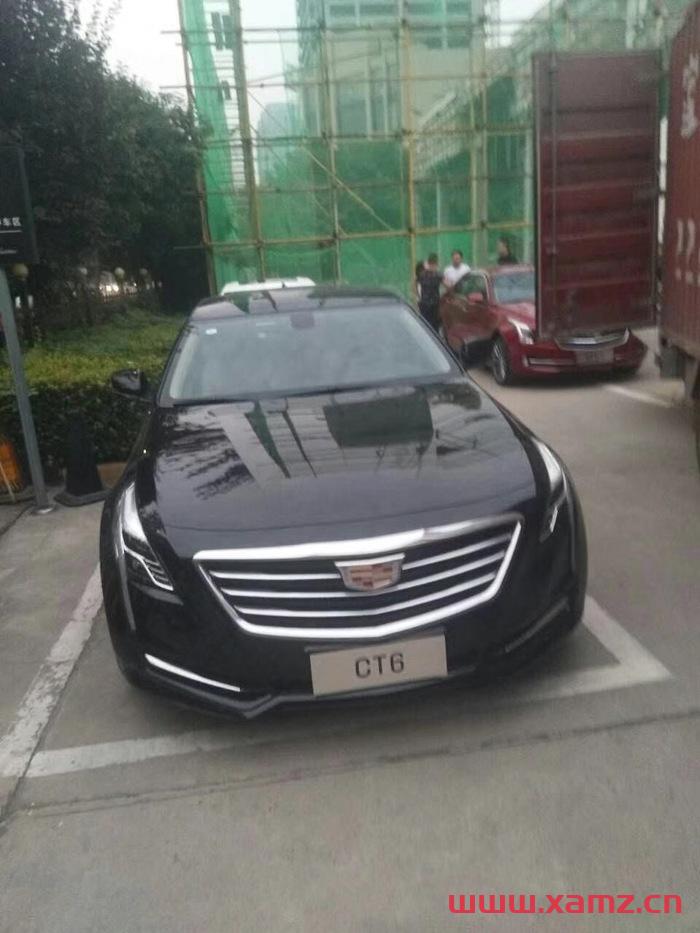 金秋婚車實拍