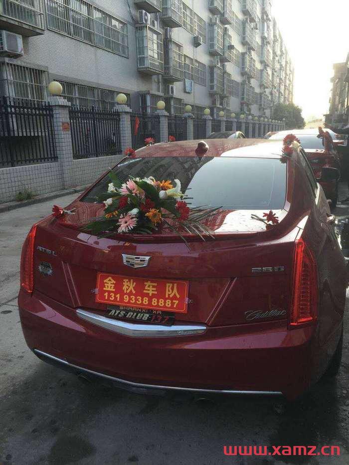 金秋婚車實(shí)拍