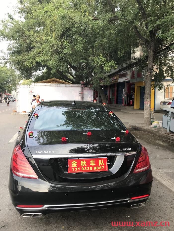 金秋婚車實(shí)拍