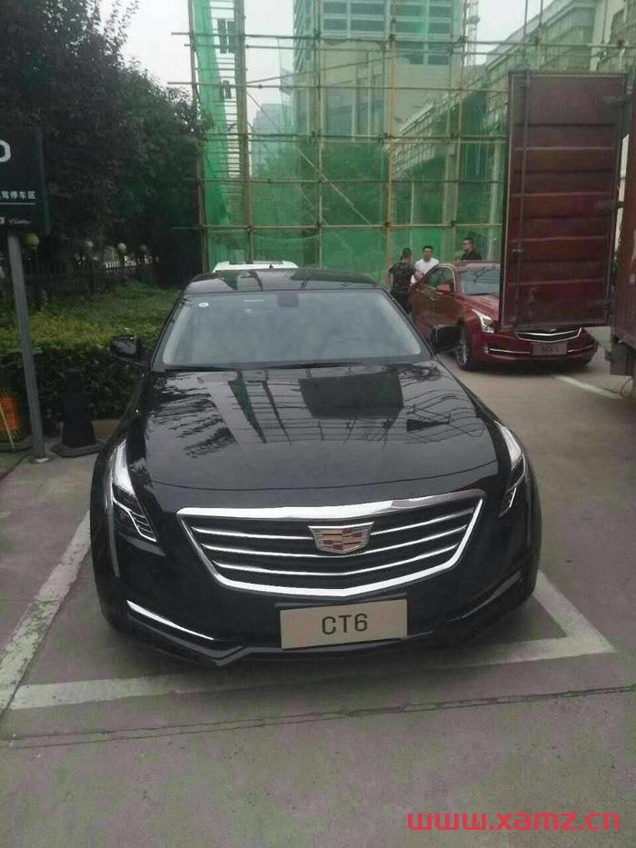 金秋婚車實拍