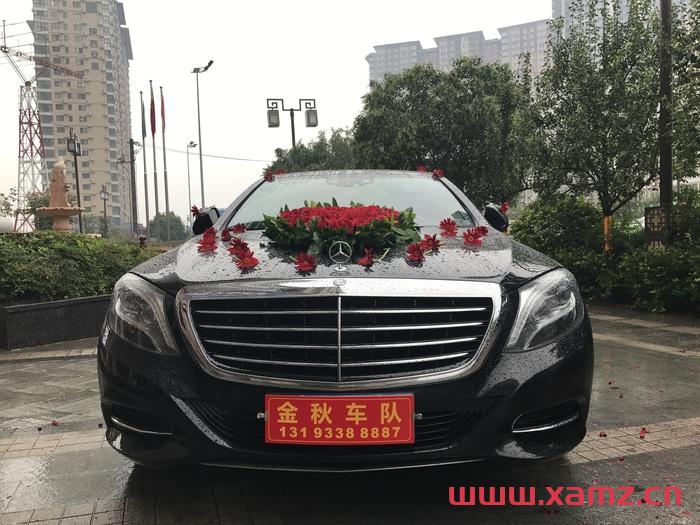 金秋婚車實拍