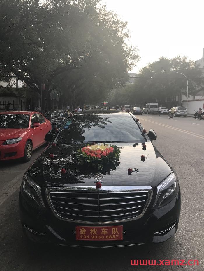 金秋婚車實拍